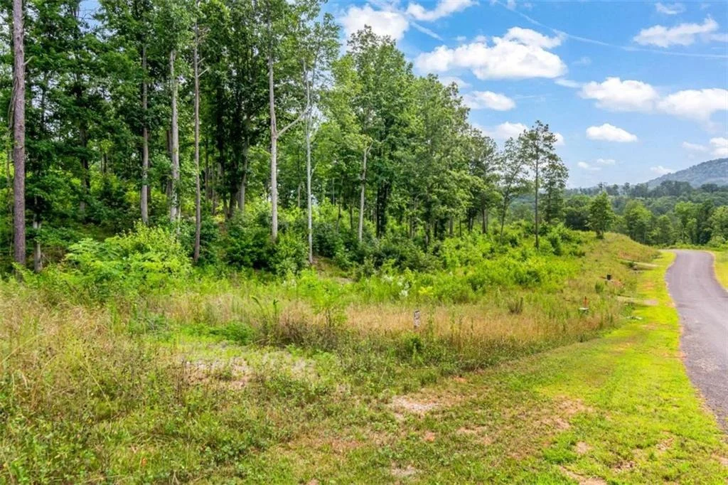 Photo of LT 207 Oak Park Drive