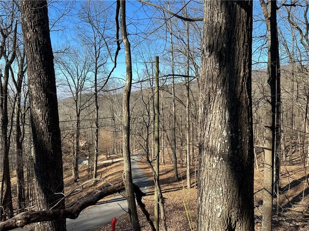 Photo of Lt1535 Moss Patch Trail