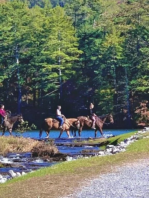 Photo of 581 Crippled Oak Trail
