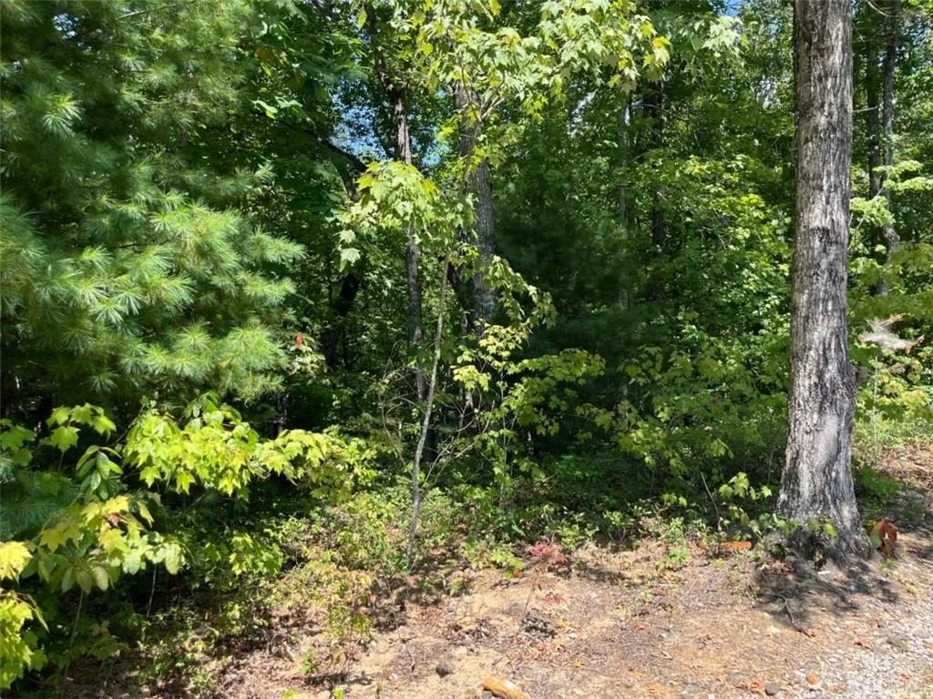 Photo of LOT 7 Forest Canopy Way