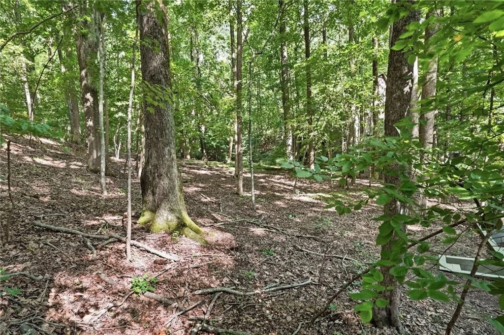 Photo of 49 Little Beaver Run