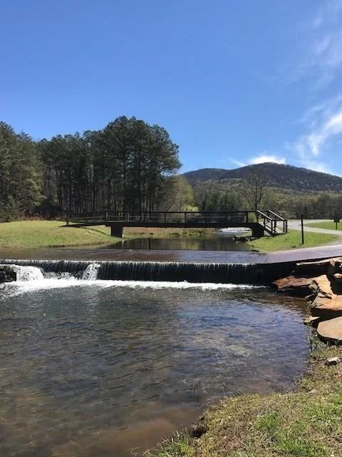Photo of 300 Sassafras Mountain Trail