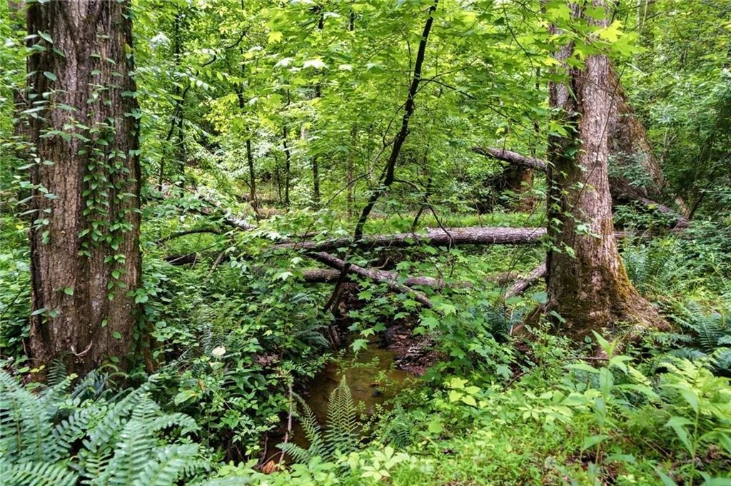 Photo of 580A Eagles Perch Road