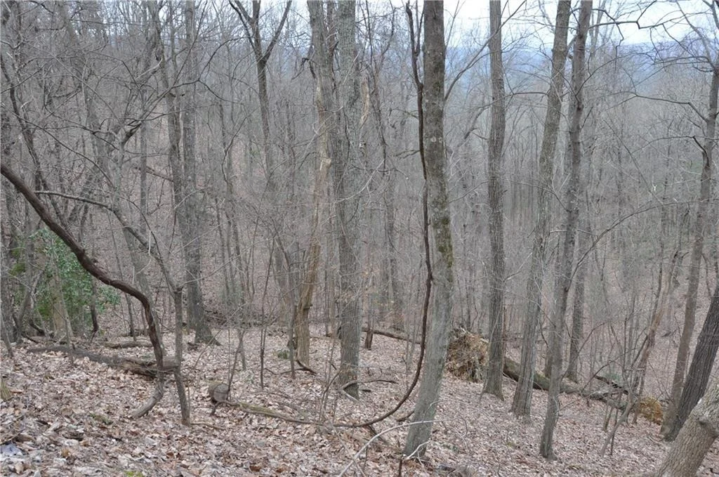 Photo of 3012 Wild Turkey Bluff
