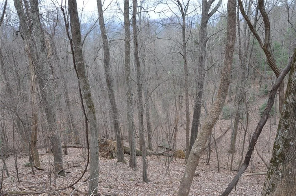 Photo of 3012 Wild Turkey Bluff