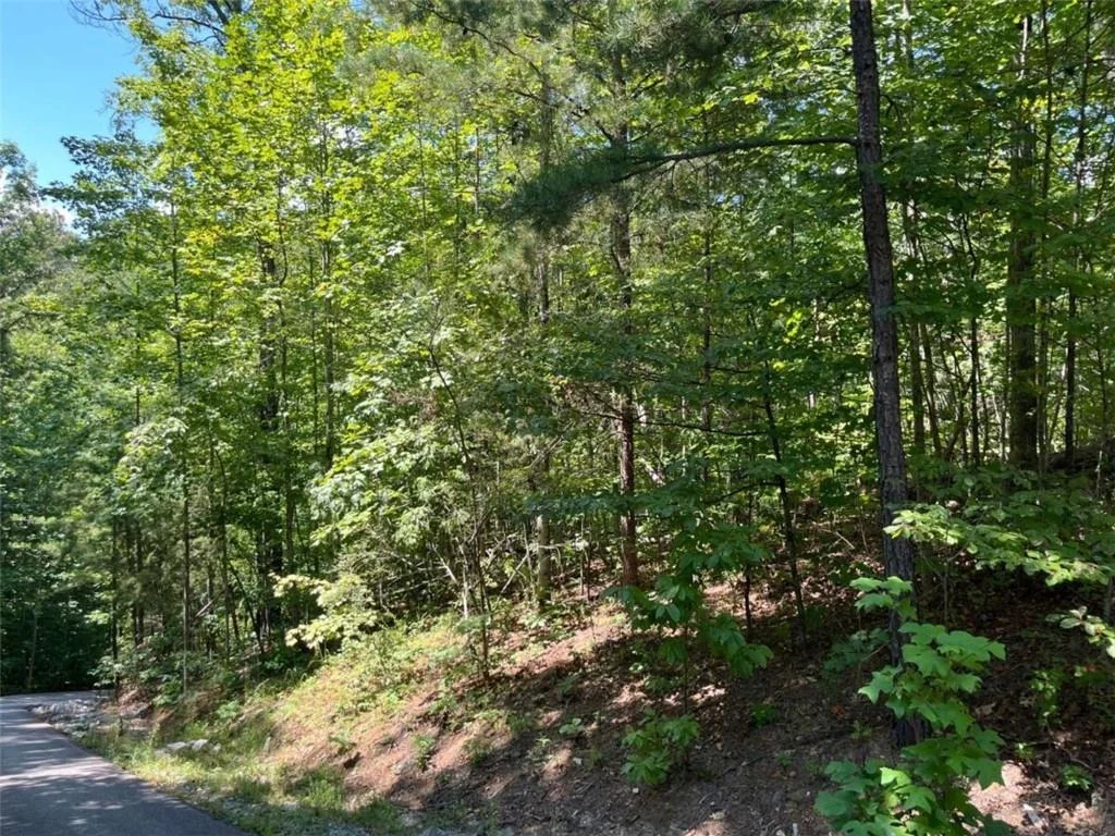 Photo of LOT 7 Forest Canopy Way