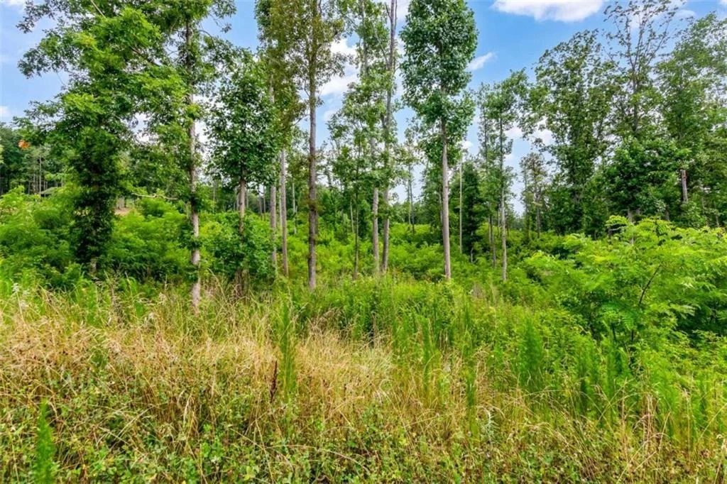 Photo of LT 207 Oak Park Drive
