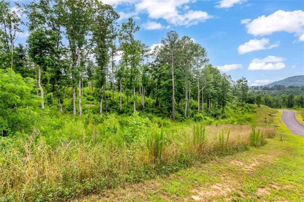 Photo of LT 207 Oak Park Drive