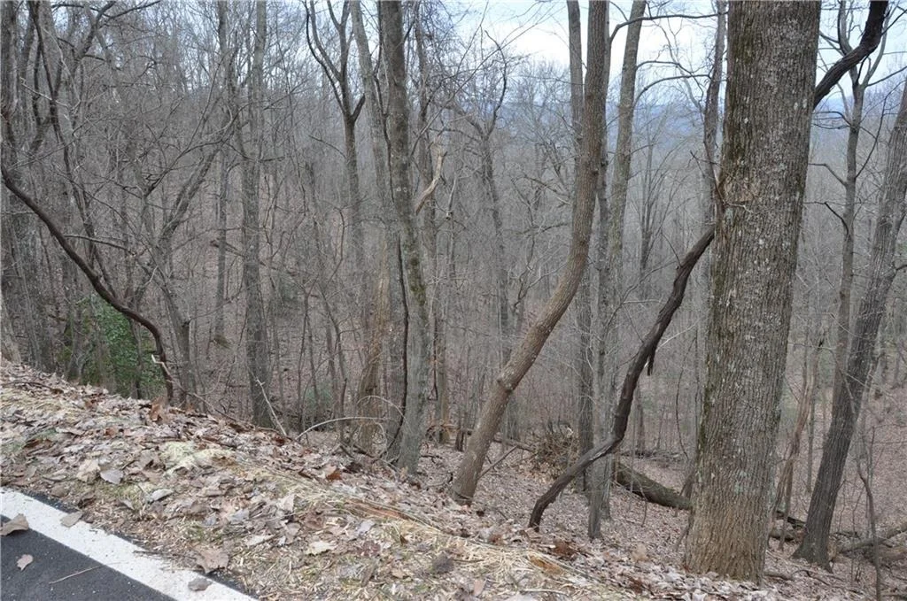 Photo of 3012 Wild Turkey Bluff