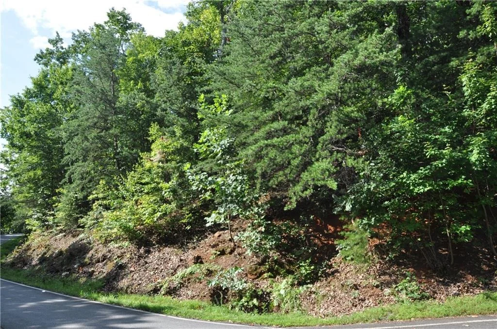 Photo of 8261 Cox Mountain Drive