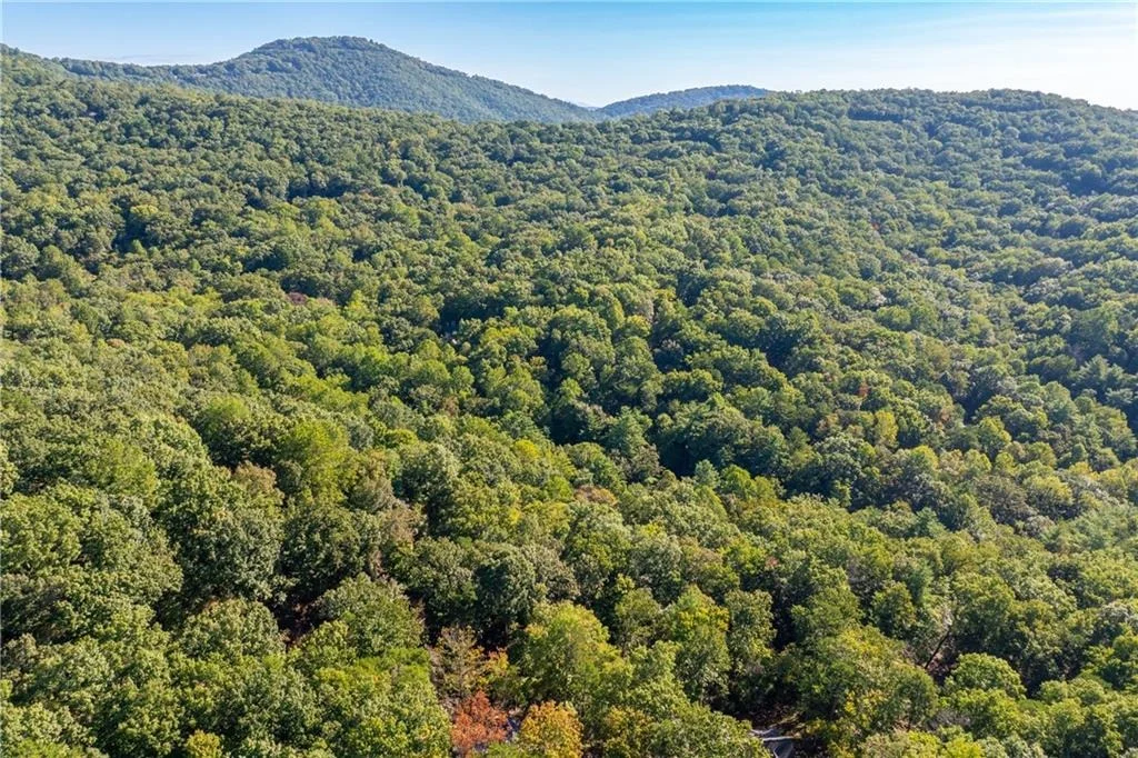 Photo of 595 Wake Robin Drive