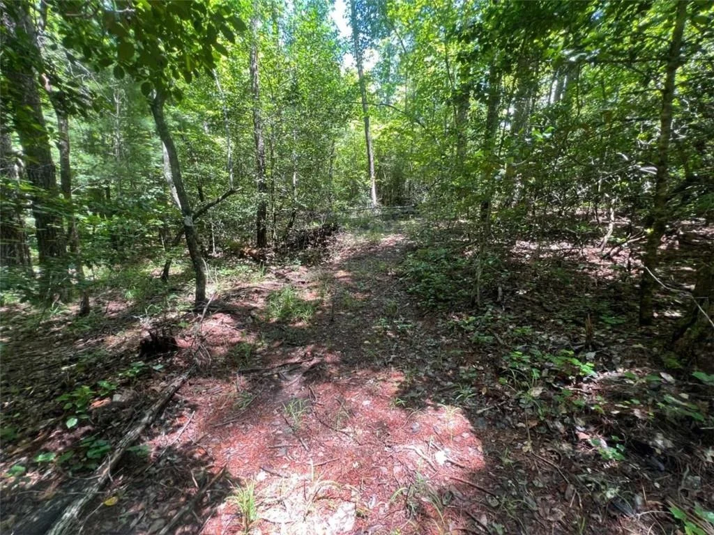 Photo of 80 Windchase Lane