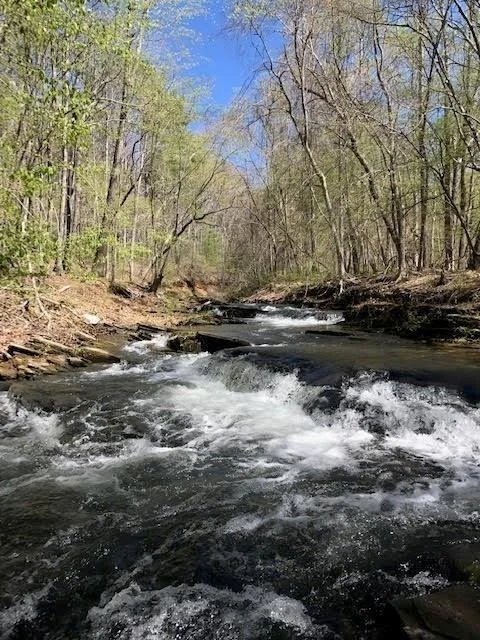 Photo of 147 Laurel Mill Trail