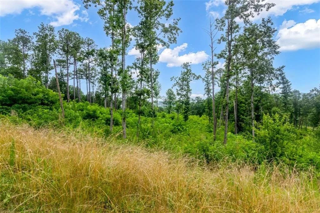 Photo of LT 207 Oak Park Drive