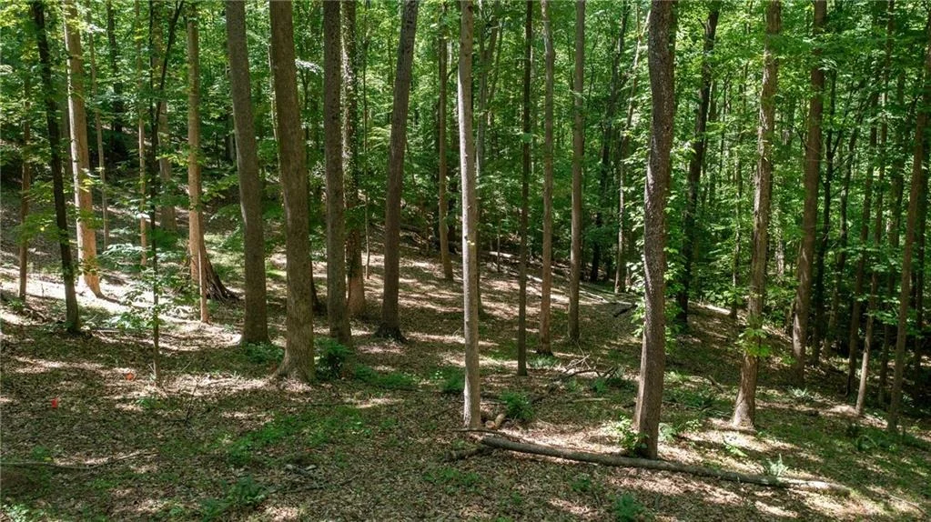 Photo of 1981 Mountain Road