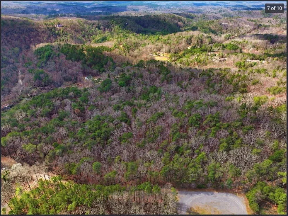 Photo of 64 Bull Gap Road