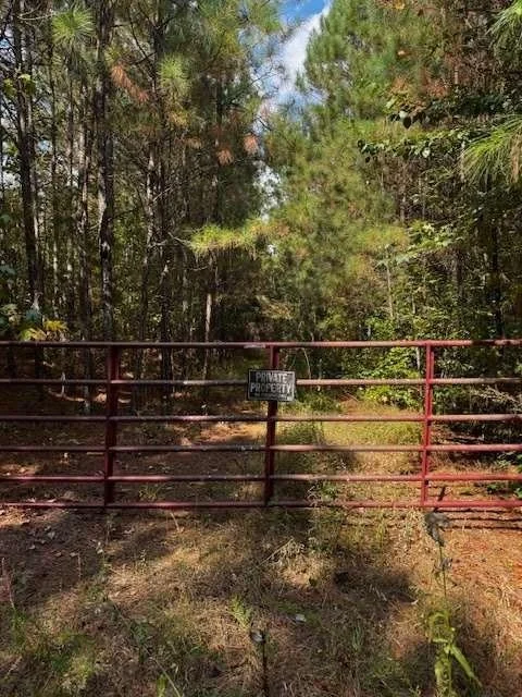 Photo of 230 Dodgen Road