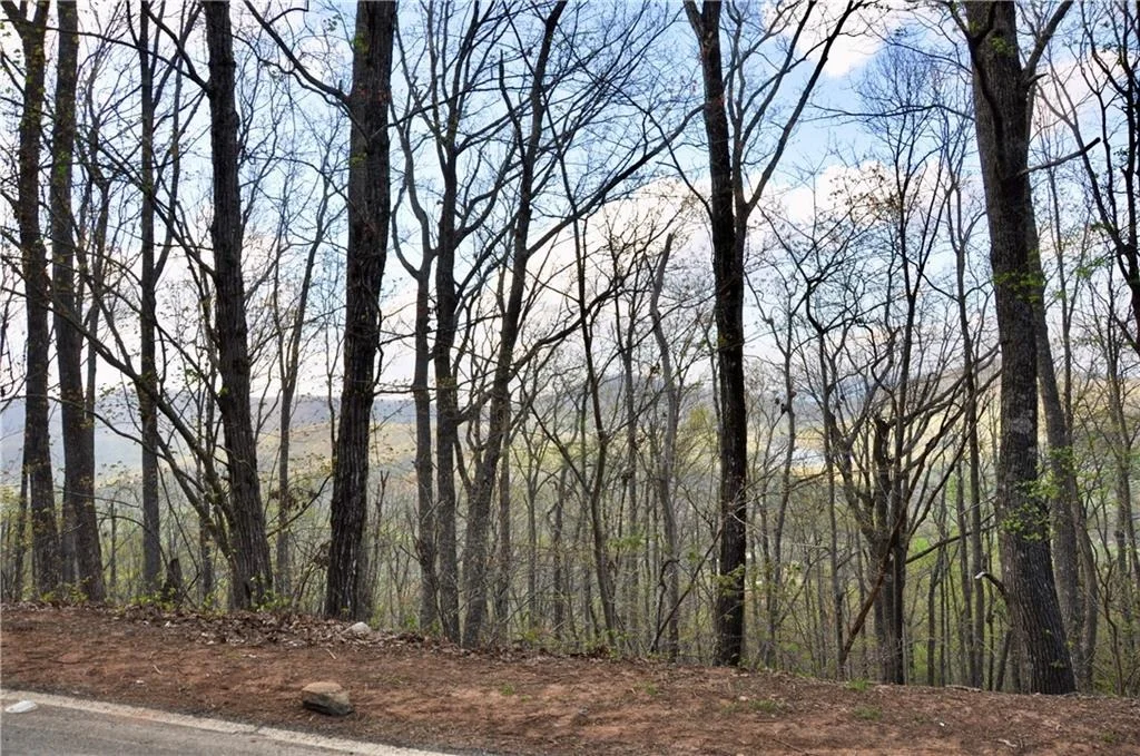 Photo of 8259 Cox Mountain Drive