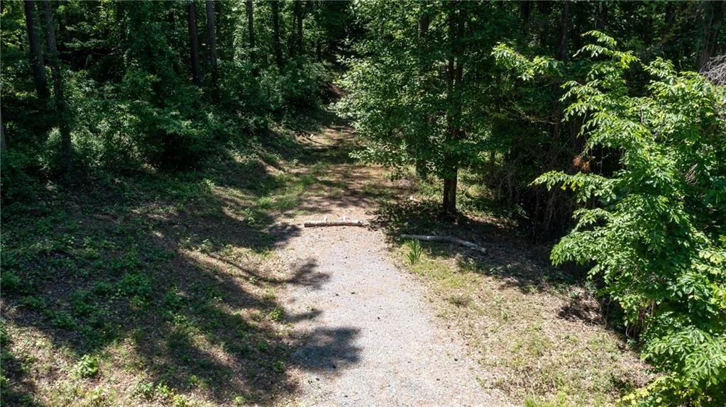 Photo of 1981 Mountain Road