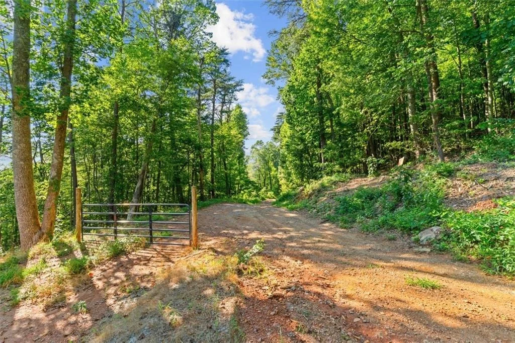 Photo of Lot 4 Firetower Rd