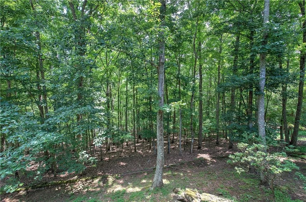 Photo of 376 Alpine Drive