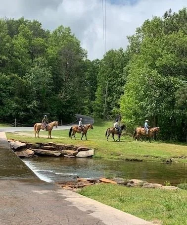 Photo of 149 Long Swamp Drive