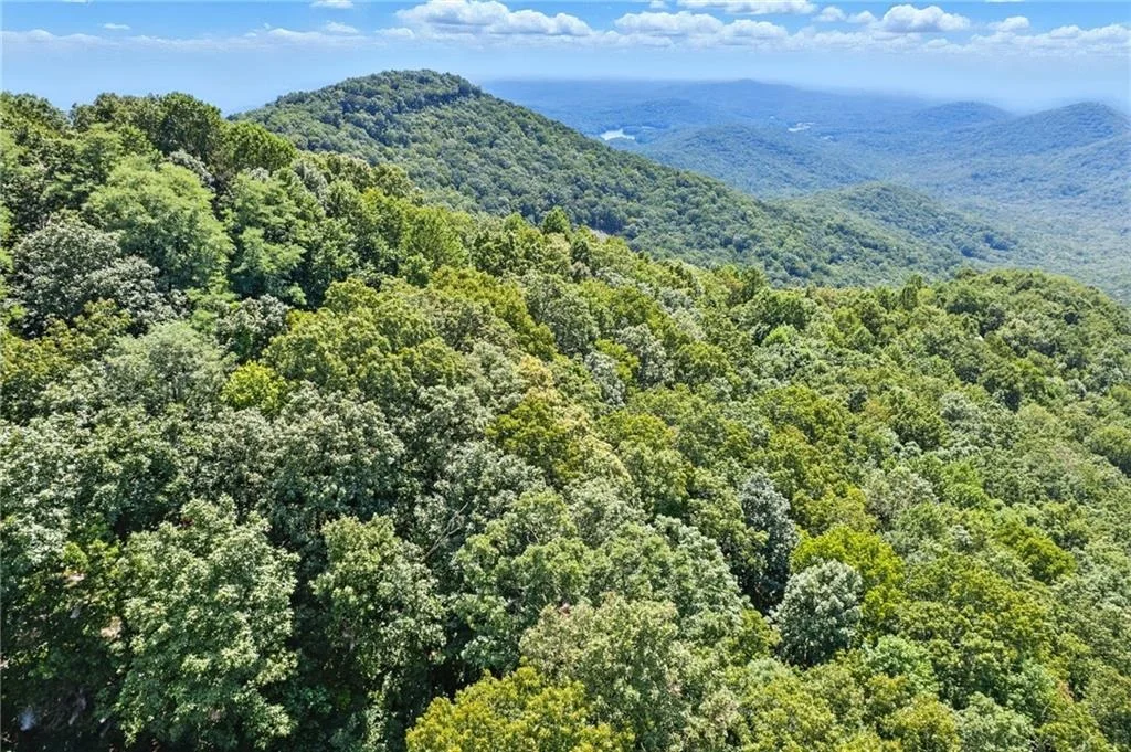 Photo of 1207 Deer Run Ridge