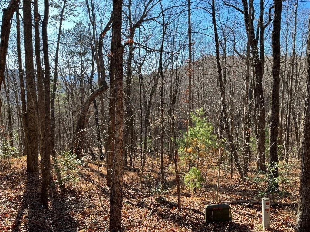 Photo of LOT #1 Forest Canopy Way