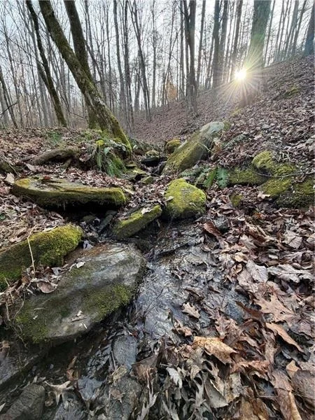 Photo of 7375 BEAR MOUNTAIN Road