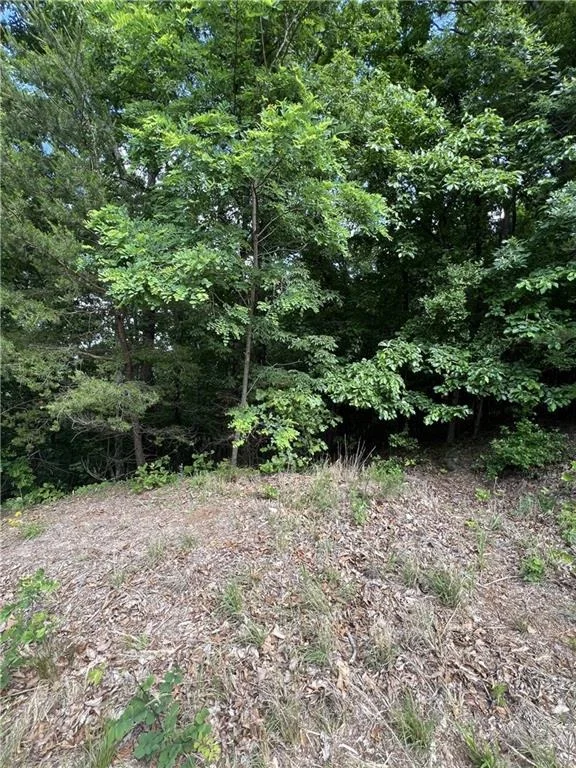 Photo of 7345 Skyline Drive