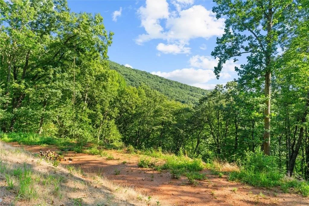 Photo of Lot 4 Firetower Rd