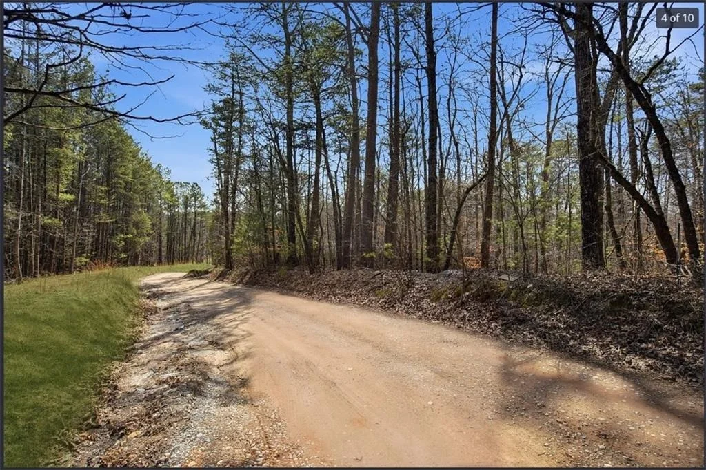 Photo of 64 Bull Gap Road