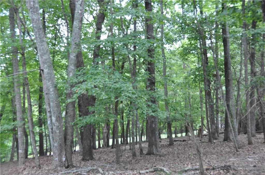Photo of 2468 Wedgewood Drive