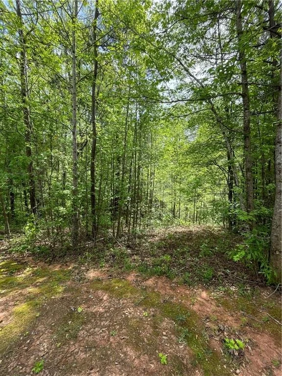 Photo of 205 White Birch Drive