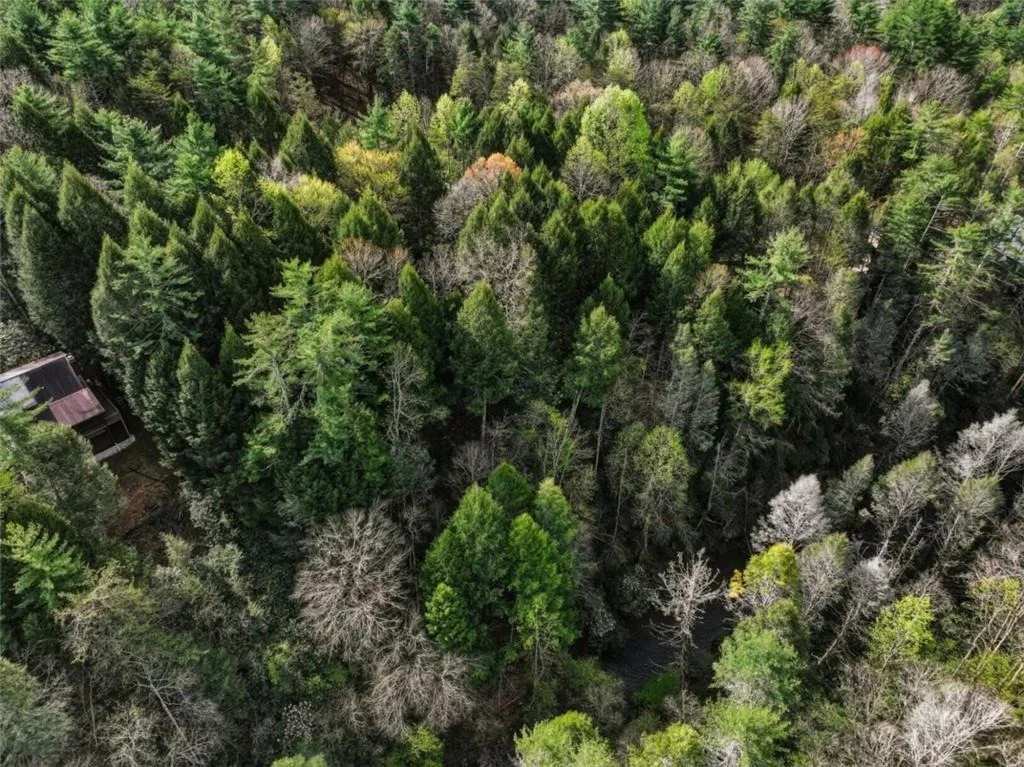 Photo of 58 River Road