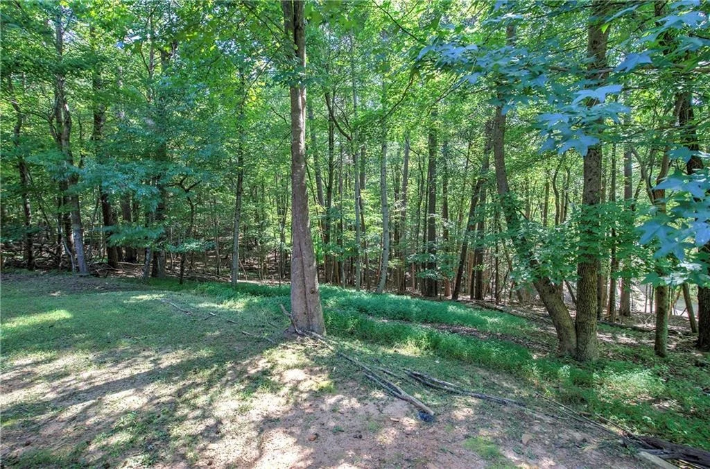 Photo of 149 Long Swamp Drive