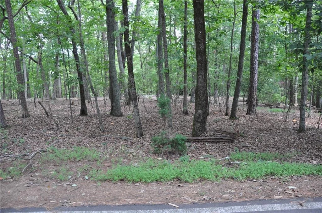 Photo of 2468 Wedgewood Drive