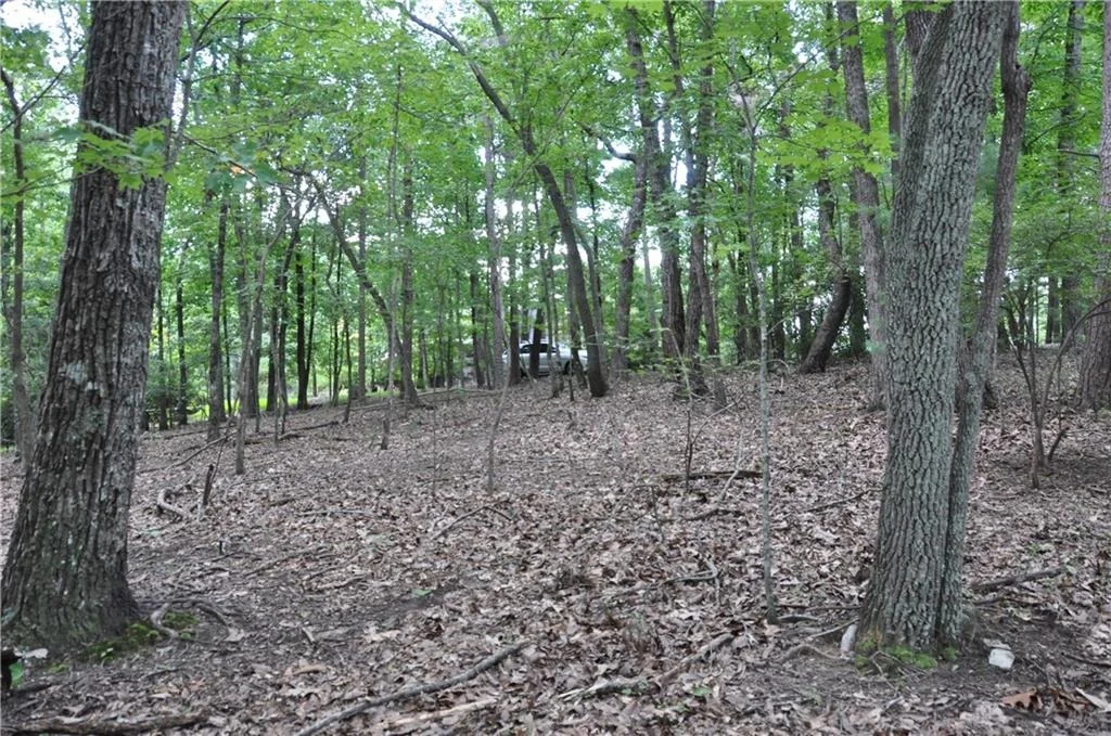 Photo of 2468 Wedgewood Drive