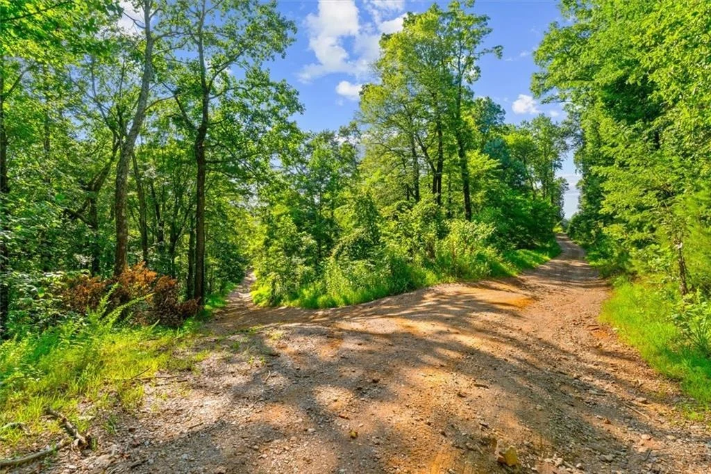 Photo of Lot 5 FireTower Rd