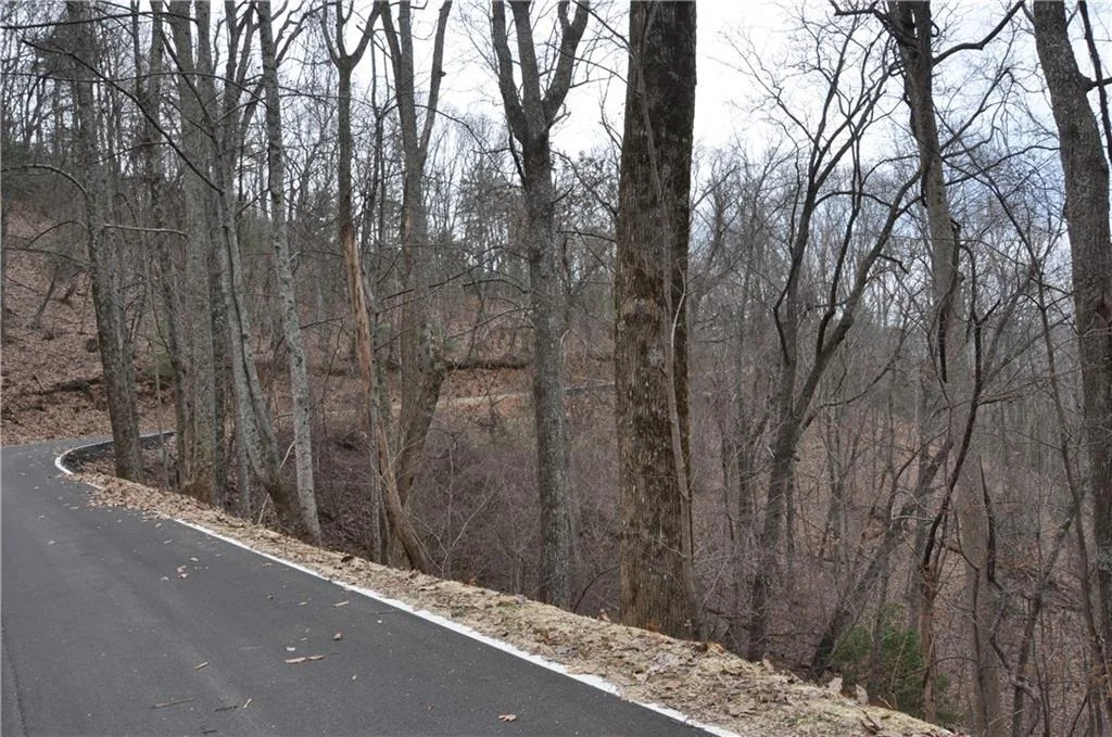 Photo of 3012 Wild Turkey Bluff