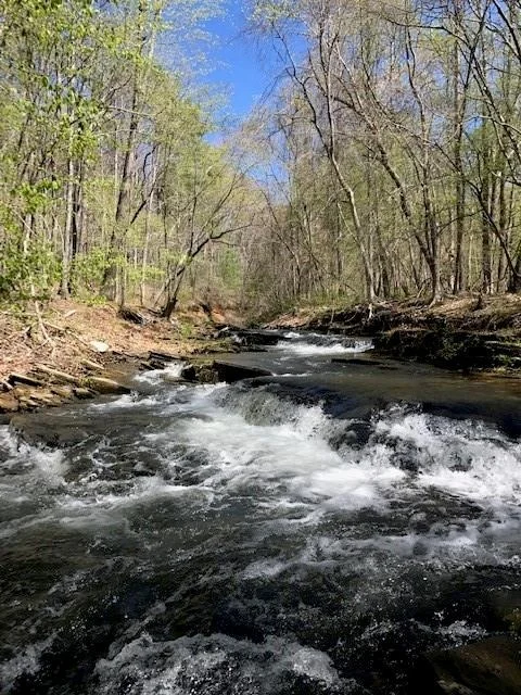 Photo of 757 Crippled Oak Trail