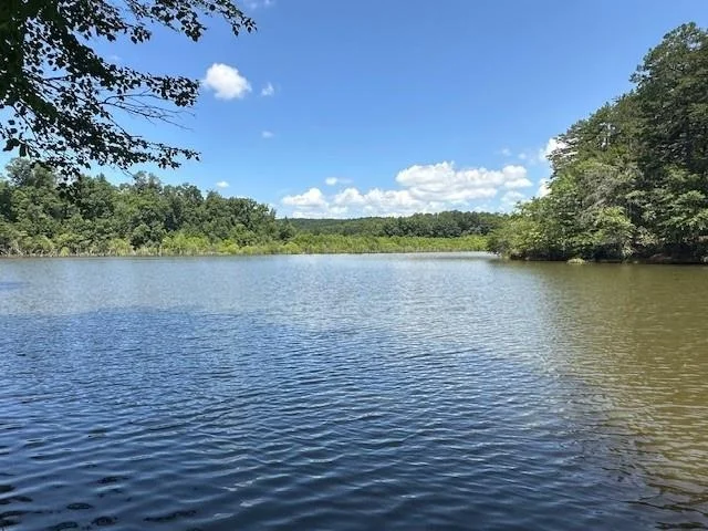 Photo of 6592 Huckleberry Lane