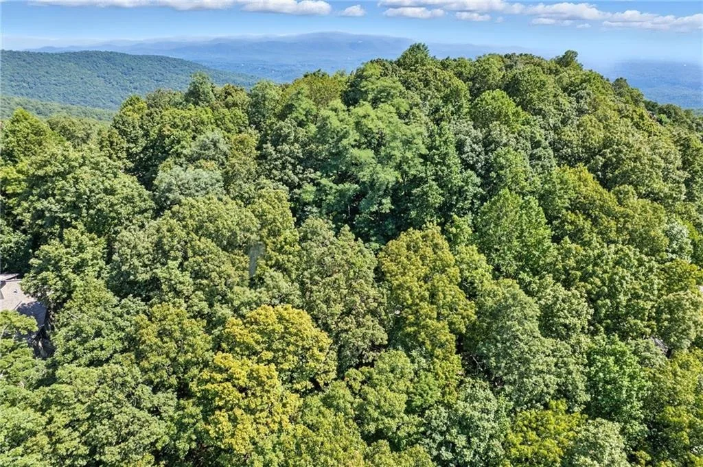 Photo of 1207 Deer Run Ridge
