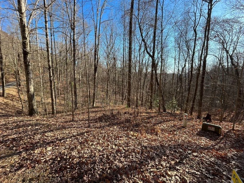 Photo of LOT #2 Forest Canopy Way