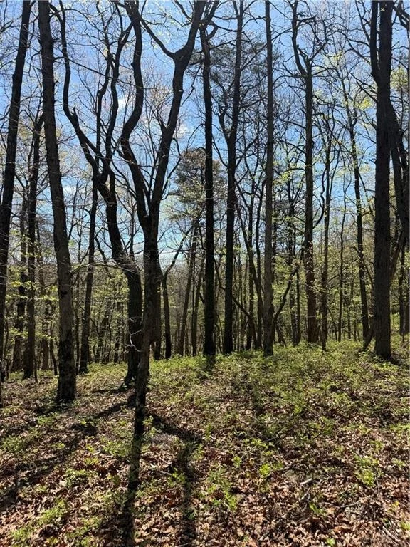 Photo of 161 Sharp Mountain Parkway