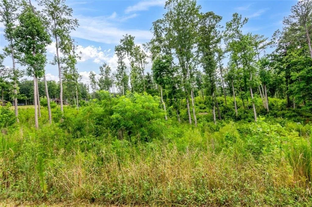 Photo of LT 207 Oak Park Drive