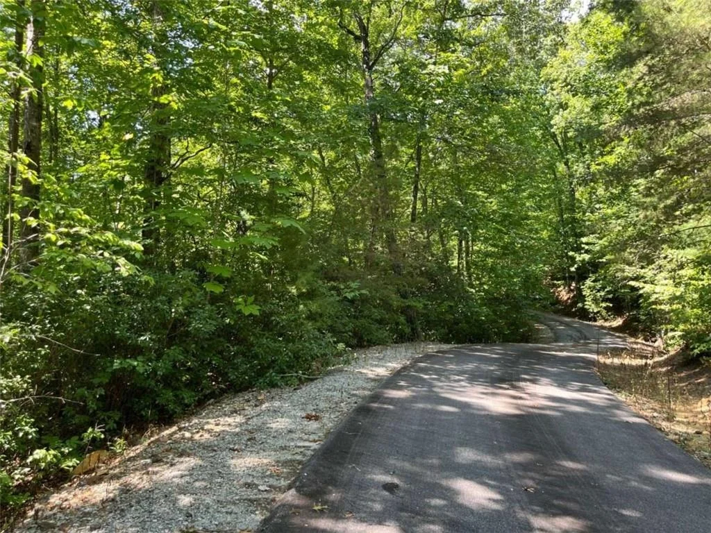 Photo of LOT 7 Forest Canopy Way