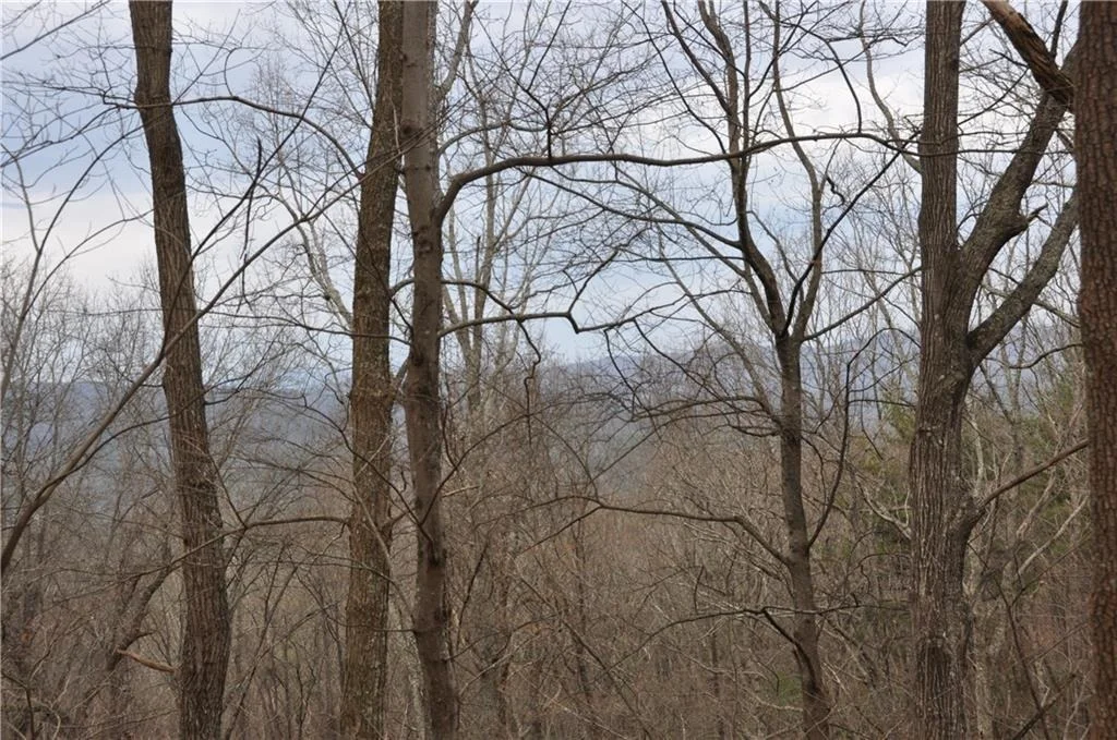 Photo of 3012 Wild Turkey Bluff