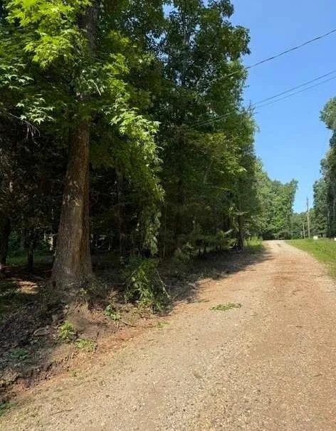 Photo of LT 113 Normandy Trail