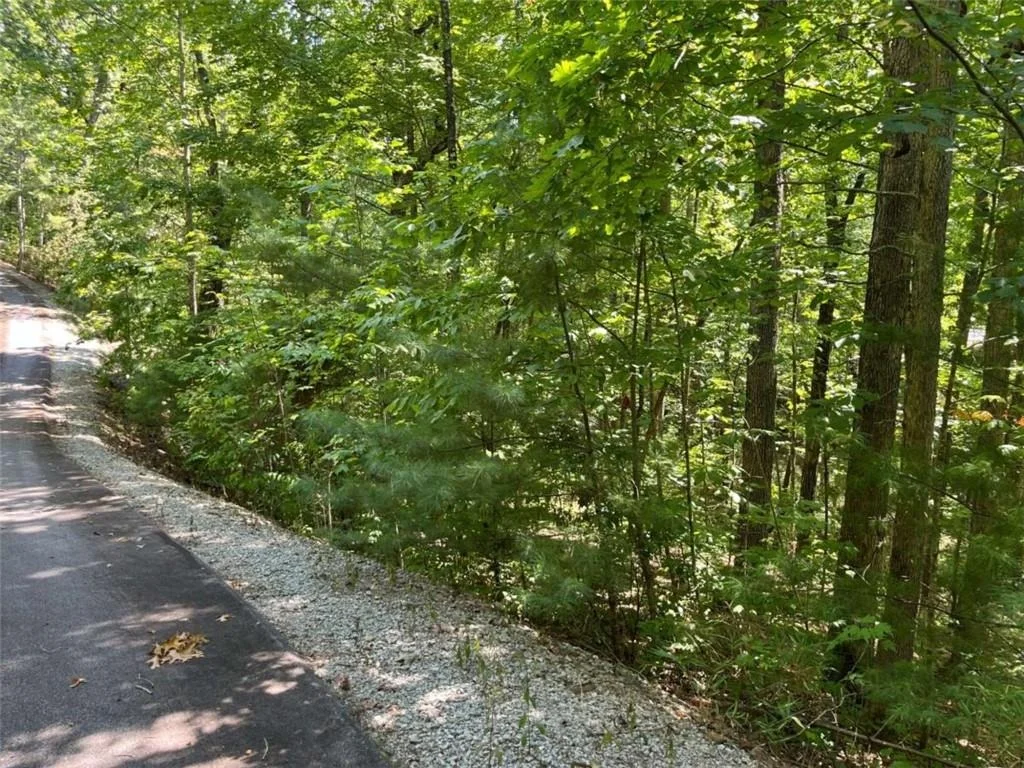 Photo of LOT 7 Forest Canopy Way